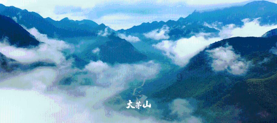公主烹饪蛋糕